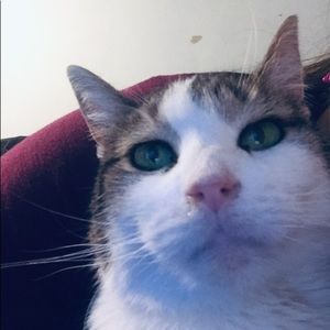 Meet your Posher, Mackenzie